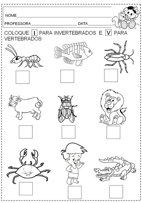Collection Of Animales Invertebrados Para Colorear P 225 Gina Para