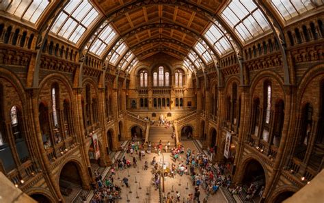 The Best Museums In London 2019