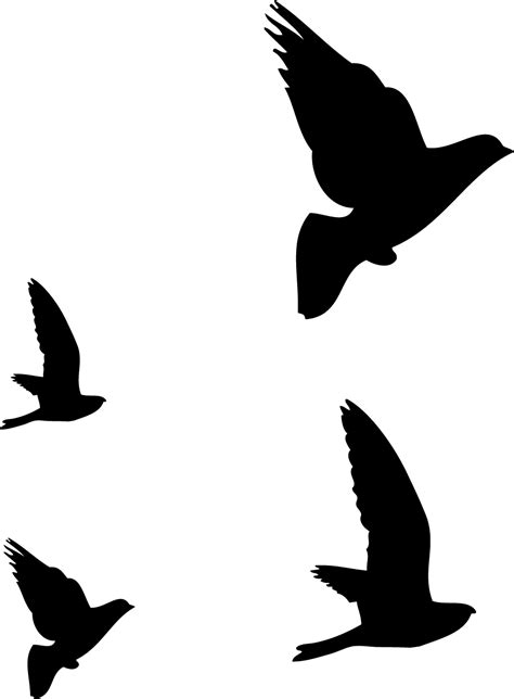 Hummingbird Flight Silhouette Drawing Birds Silhouette Png Download