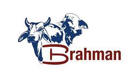 Use these free brahman cattle png #72113 for your personal projects or designs. Brahman logo2 - Embryo Plus