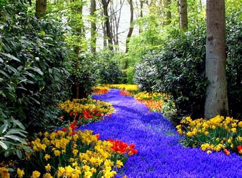 12 what is the best way. Reubens Lawn Care: Spring Lawn Care Tips For A Healthy Yard