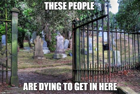 Cemetery Memes Gifs Imgflip