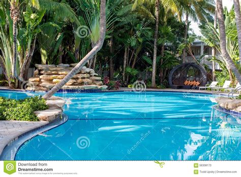 Tropical Paradise Swimming Pool And Waterfall Swimming Pools