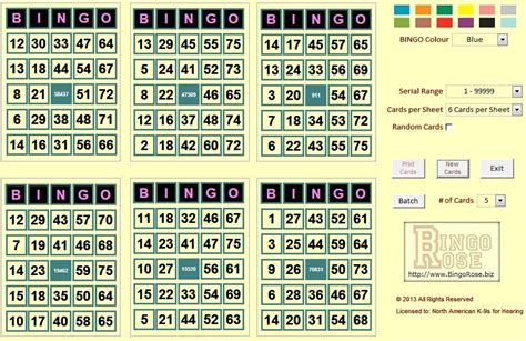 Bingo Hall Edition Software By Bingo Rose Allows You To Create Your