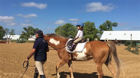 Beginner To Advance Horse Riding Lessons Dallas Equestrian