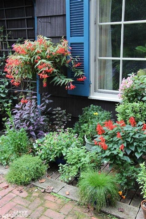 We did not find results for: Deer-Resistant Annuals: Colorful Choices for Sun and Shade ...