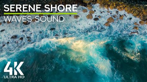 8 Hrs Pacific Ocean White Noise Calming Sound Of Crashing Waves For