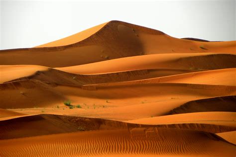 Free photo: Egypt Desert - Arid, Nature, Sky - Free Download - Jooinn
