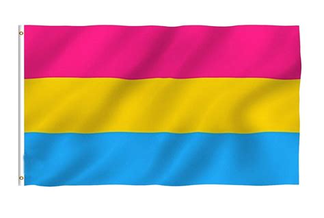 Pansexual Flag 3x5fts Pansexuality Omnisexuality Pride Etsy