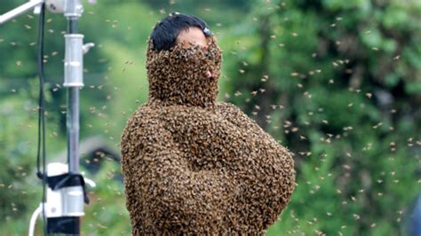 How To Get Thousands Of Bees To Land On You In A Beard Like Fashion