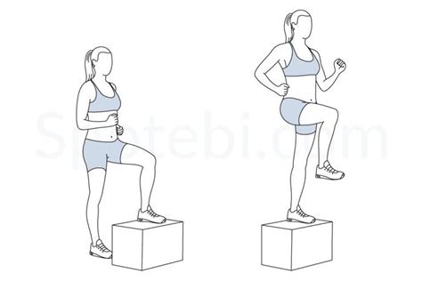 Step Up With Knee Raise Illustrated Exercise Guide Workout Guide