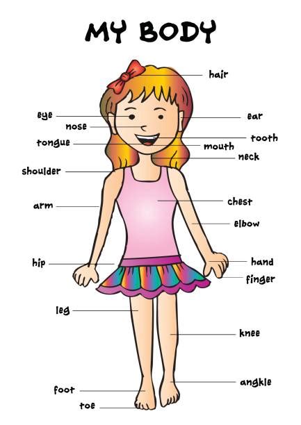 Royalty Free Cartoon Of A Girls Body Parts Name Clip Art Vector Images