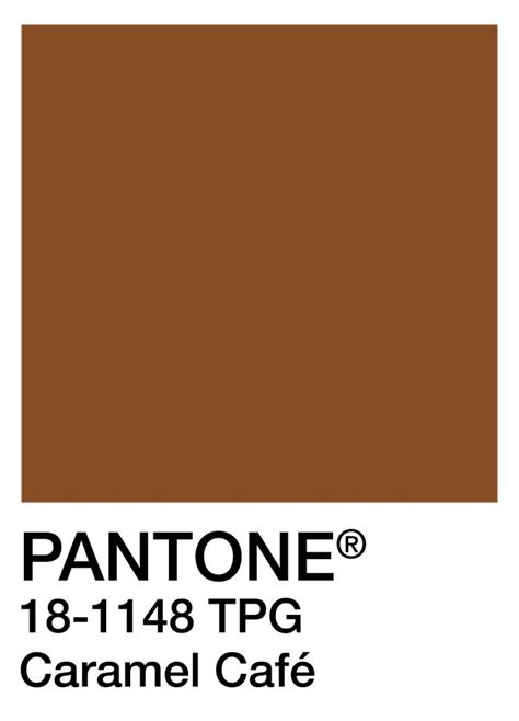 Pin By Carpets Inter On Caramel Cafe Pantone Colour Palettes