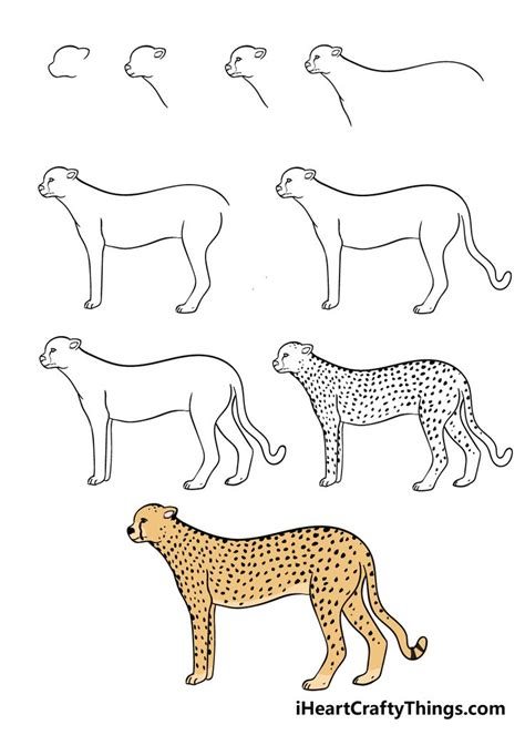 How To Draw A Cheetah A Step By Step Guide Cheetah Drawing Easy
