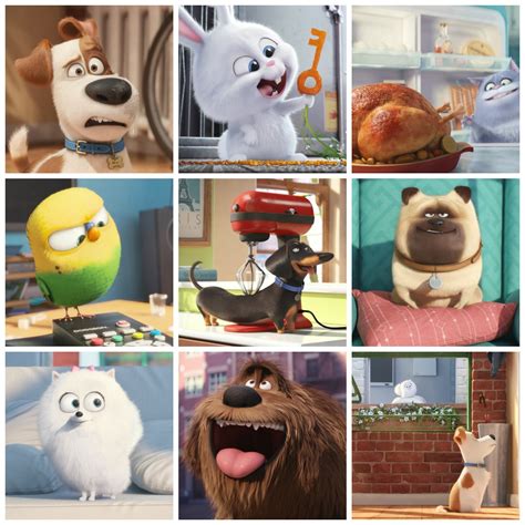 The Secret Life Of Pets~ 2 Paws Up Mom The Magnificent
