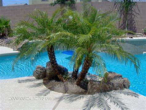 Small Garden Palm Trees