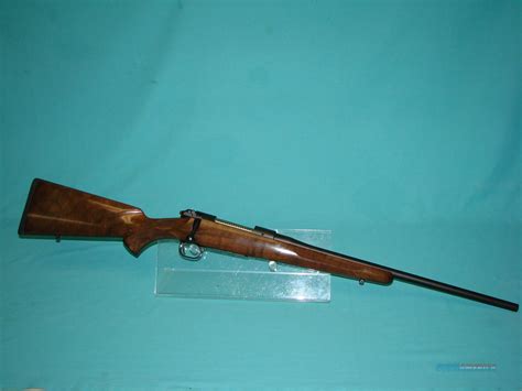 Mauser M12 243win For Sale