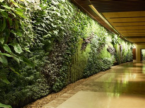 Green Wall Plantscapes