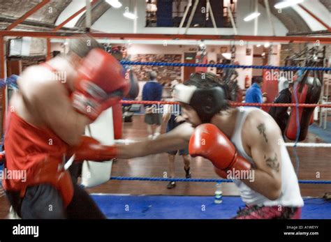 Two Boxers Sparring At A Boxing Gym Stock Photo Alamy