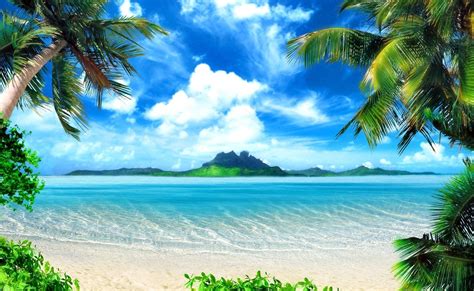 Palm Trees Tropical Beach Sea Island Wallpaper 1920x1181 620543