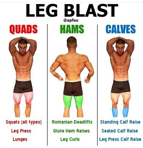 Pin By Heavy Muscle On Helpful Gym Leg Workout Workout Fitness Tips