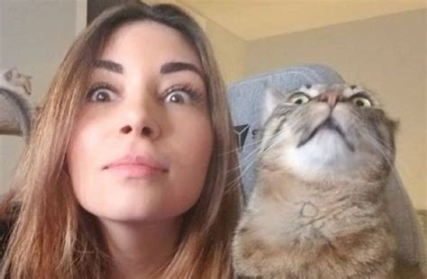 Alinity Throws Cat Scandal Pokimane Calls Twitch Streamer “messed Up”