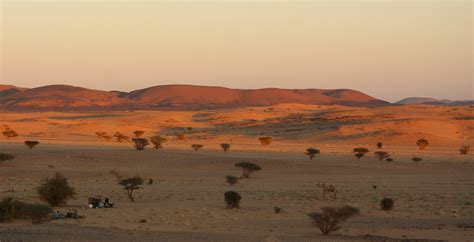 Safari in Sudan (North) - Journeys by Design: Luxury ...