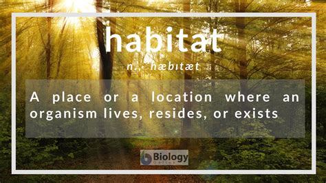 Habitat Definition And Examples Biology Online Dictionary