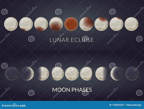 Ilustracao Lunar Do Vetor Das Fases Moon O Ciclo Da Fase Lua Nova