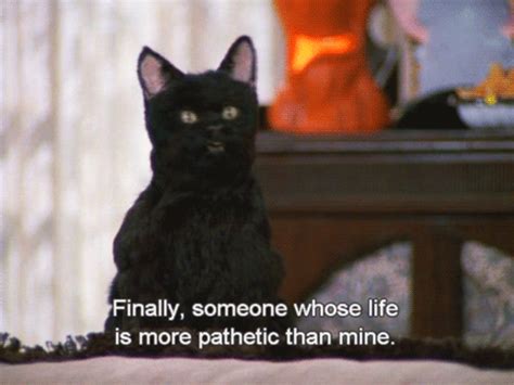 17 Times Salem Was The Best Character On Sabrina The Teenage Witch