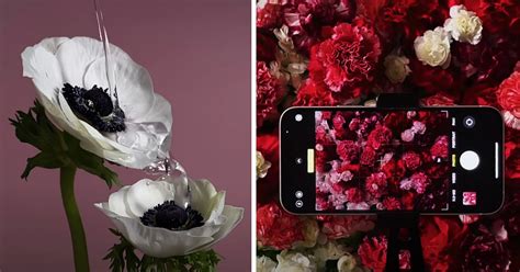 Apple Touts Its Iphone 12 Camera With Impressive Full Bloom Video