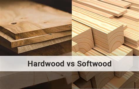 Hardwood Vs Softwood 10 Differences