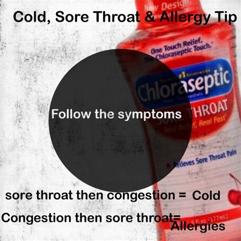 Sore Throat Cold And Allergy Qanda With Dr Daniel Hussar Md Clever
