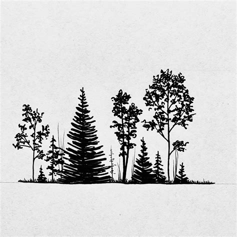 Realistic Simple Pine Tree Drawing Goimages Cove