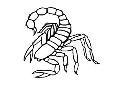 New users enjoy 60% off. Free Printable Scorpion Coloring Pages For Kids