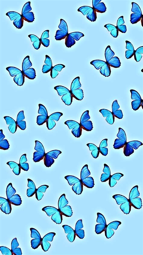 Pin By Lauren Joanna On Iphone Backgroundswallpapers Blue Butterfly