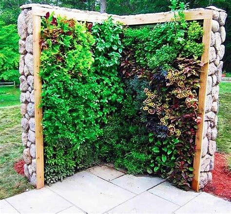 Herb And Salad Wall Vertical Garden Great Artdesign Project For