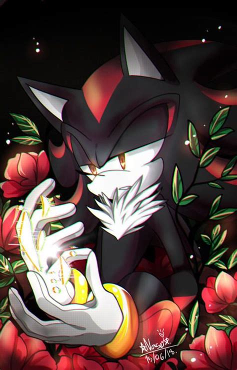 Romantic And Passionate Picture Of Shadow The Hedgehog By Sweet Angel
