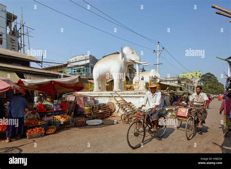 White Elephant Myanmar Hi Res Stock Photography And Images Alamy