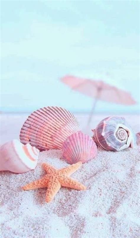 Pin By Kuukkik On Shells Summer Wallpaper Beach Wallpaper Ocean