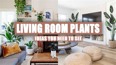 Decorating Living Room With Plants Baci Living Room