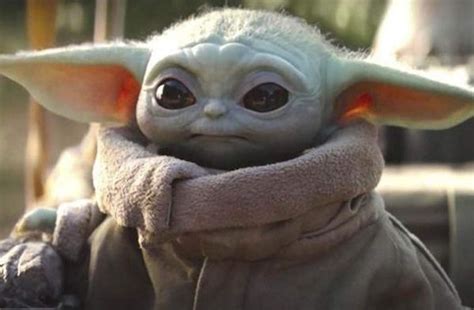 Baby Yoda Has A Name Jon Favreau And Taika Waititi Know