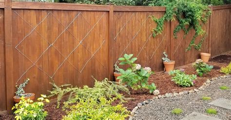 How To Make An Easy Espalier Trellis Diy Hometalk