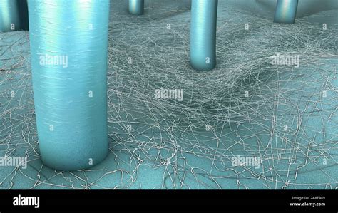 Fungal Skin Infection Illustration Stock Photo Alamy
