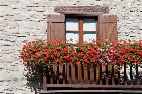 10 Tips To Start A Balcony Flower Garden Balcony Garden