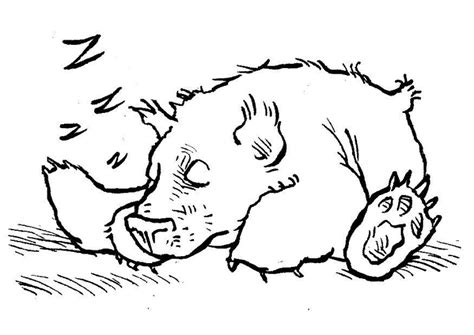 Print out these animal coloring sheets and your kids will have hours of coloring fun! Coloring Page sleeping bear - free printable coloring ...