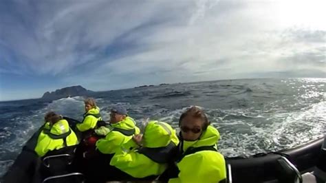 Speedboating Over The Lofoten Maelstrom 360 Video Youtube