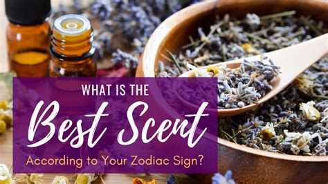 What Is The Best Scent According To Your Zodiac Sign Cosmic Cuts