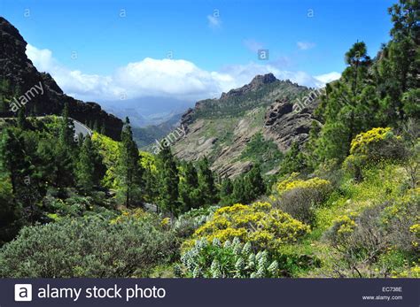 Beautiful Scenery In Gran Canaria Mountains Spain Stock Photo Alamy