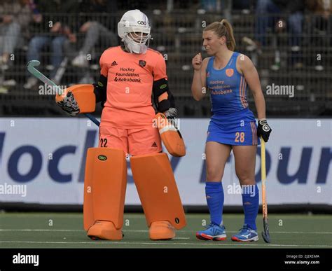 amstelveen lr holland hockey women goalkeeper josine koning tessa clasener of holland